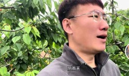 杨二狗和河南女友“2万分手费”反转网红卓越再被揭老底
